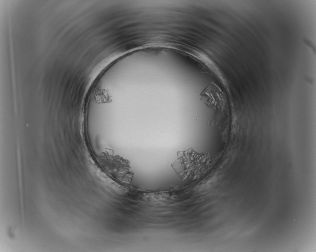 X0000100490955200806271234