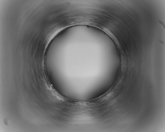 X0000100490956200806271234