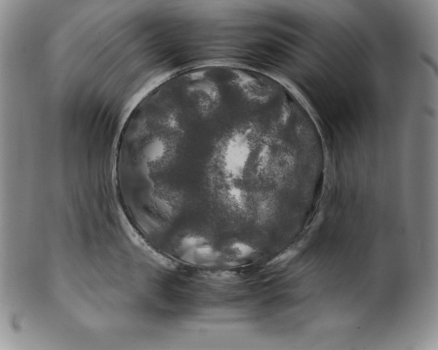 X0000100490957200806271234