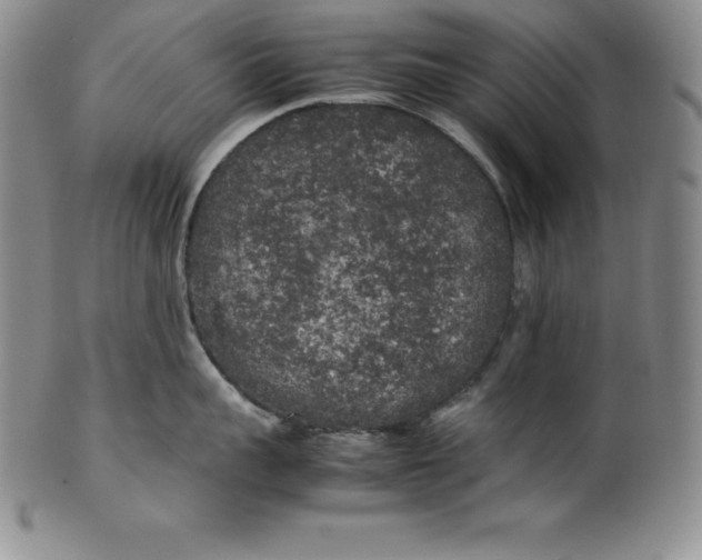 X0000100490959200806271234