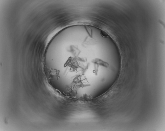 X0000100490960200806271234