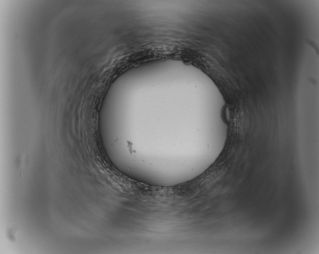 X0000100490961200806271233