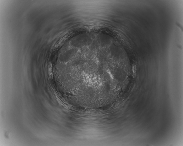 X0000100490963200806271233