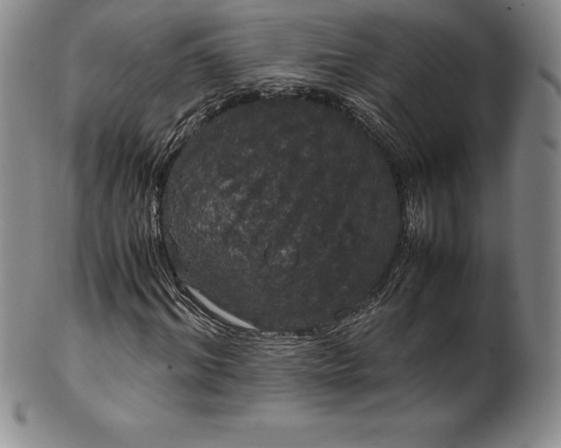 X0000100490964200806271233