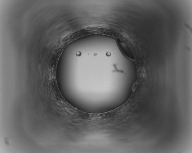 X0000100490965200806271233