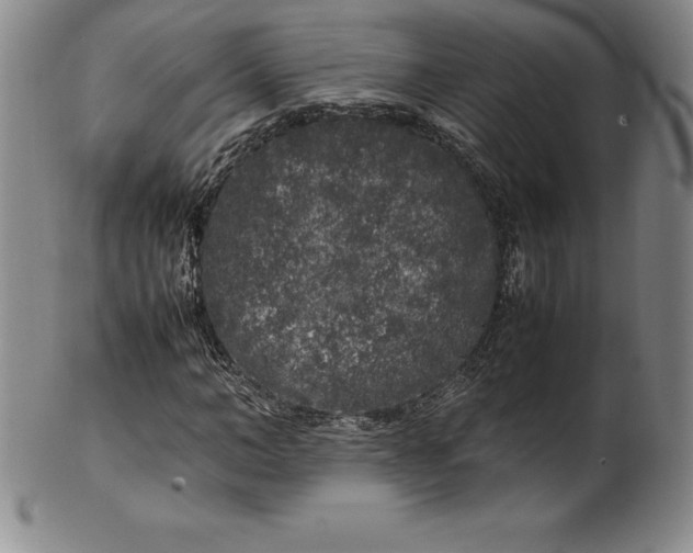 X0000100490966200806271233