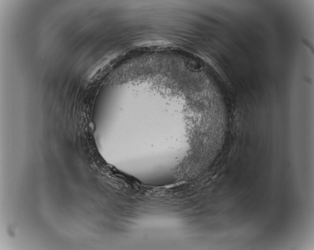 X0000100490967200806271233