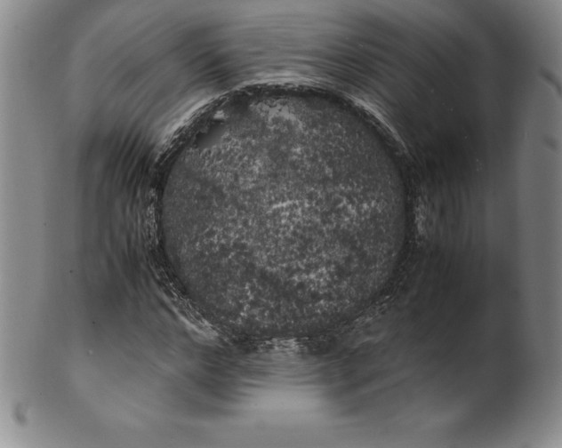 X0000100490968200806271233