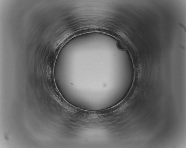 X0000100490969200806271233