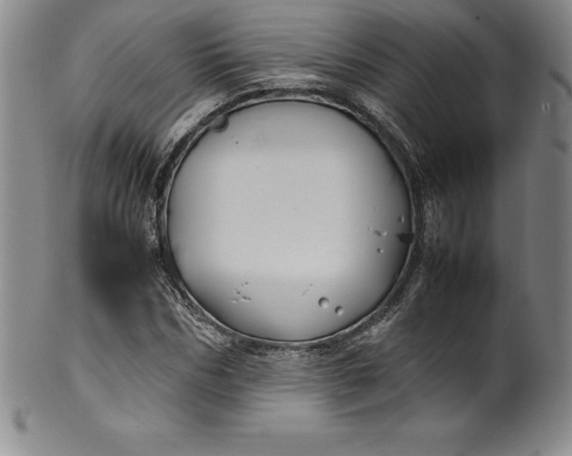 X0000100490970200806271233