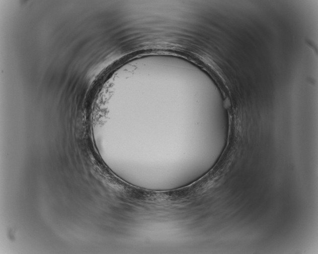 X0000100490971200806271233