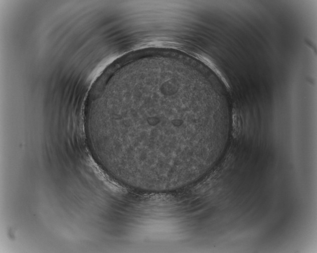 X0000100490972200806271233