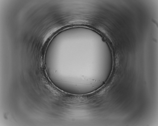 X0000100490973200806271233