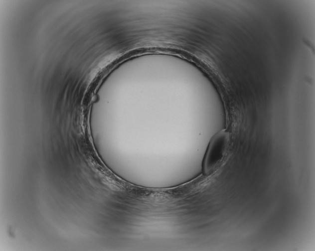 X0000100490974200806271233