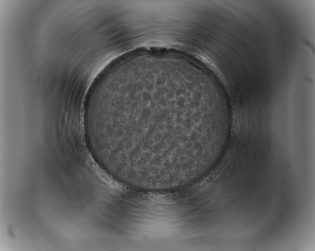 X0000100490976200806271233