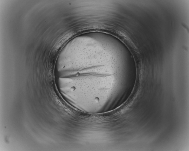 X0000100490977200806271233