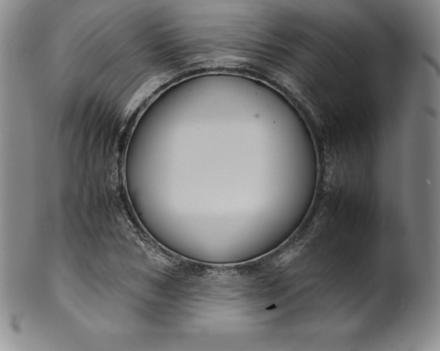 X0000100490978200806271233