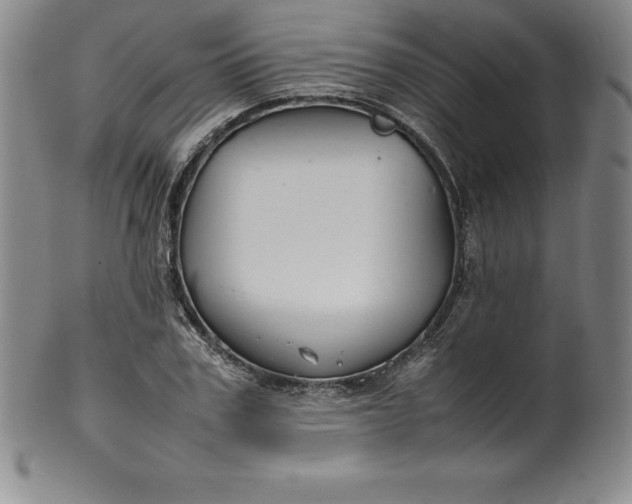 X0000100490979200806271233