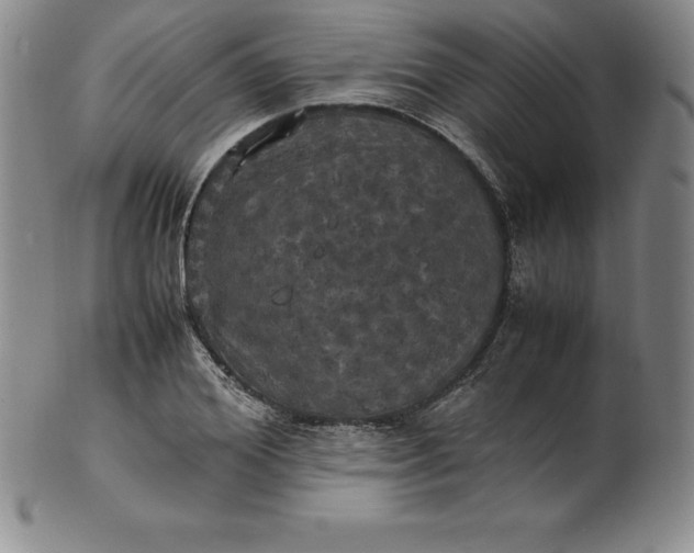 X0000100490980200806271233