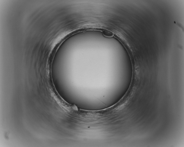 X0000100490981200806271233