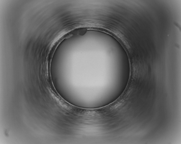 X0000100490982200806271232