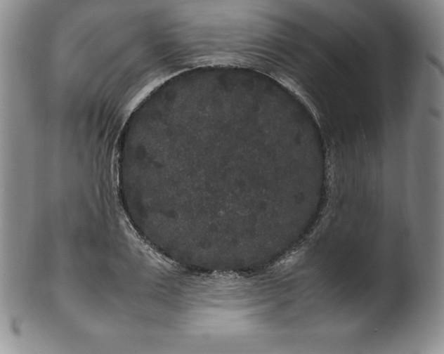 X0000100490983200806271232