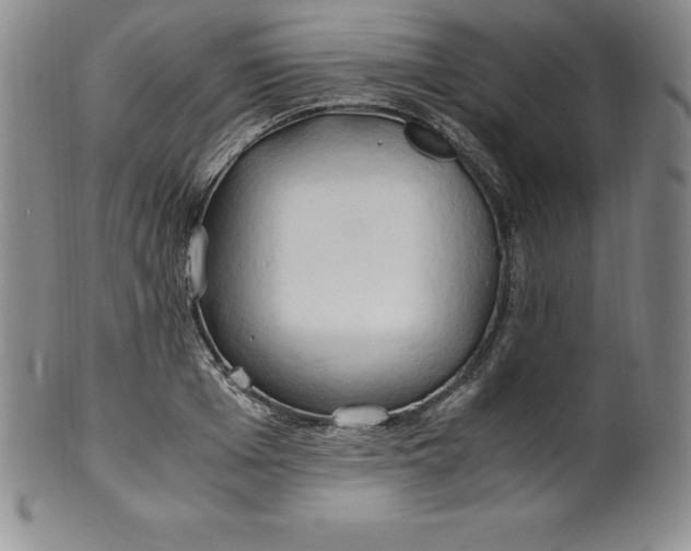 X0000100490985200806271232