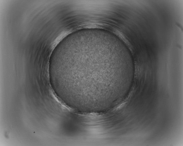 X0000100490986200806271232