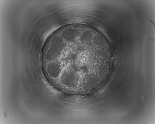 X0000100490987200806271232