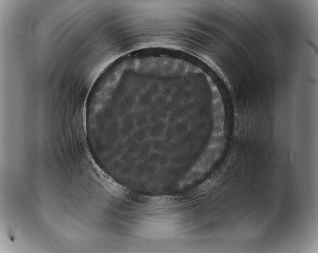 X0000100490988200806271232