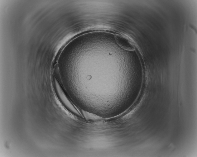 X0000100490989200806271232