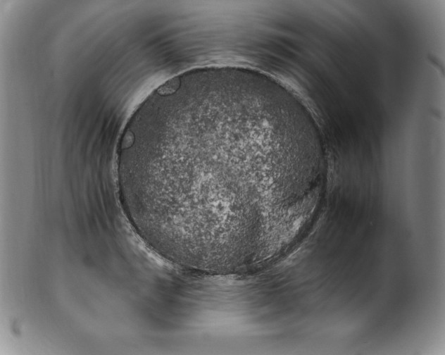 X0000100490990200806271232