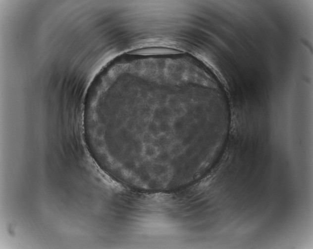 X0000100490992200806271232