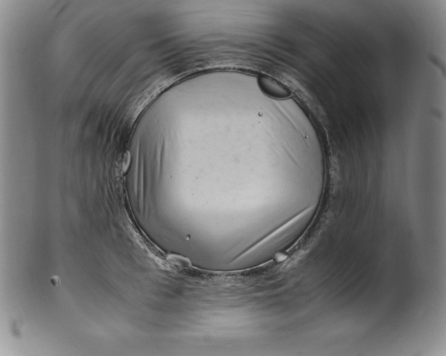 X0000100490993200806271232