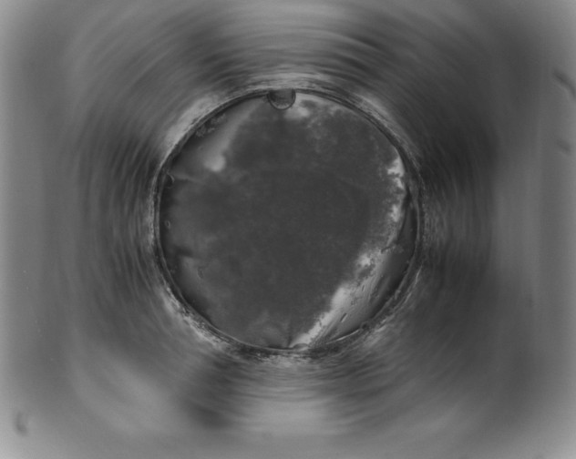 X0000100490994200806271232