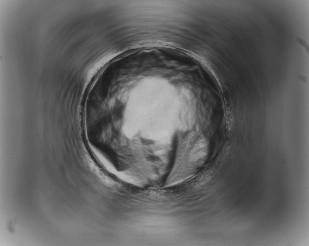 X0000100490995200806271232