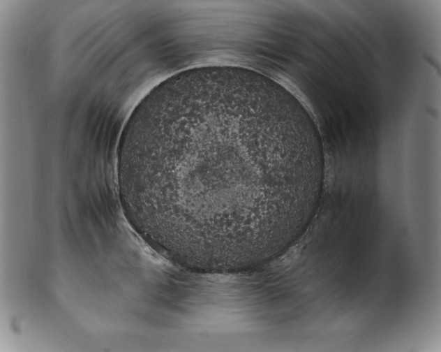 X0000100490996200806271232