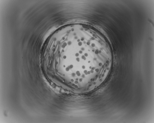 X0000100490997200806271232