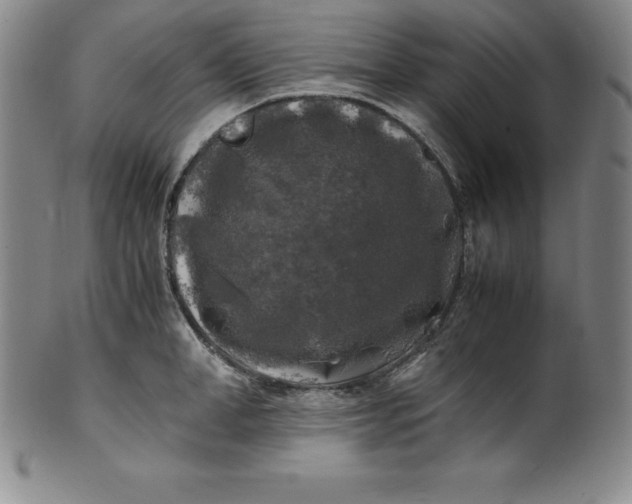 X0000100490998200806271232