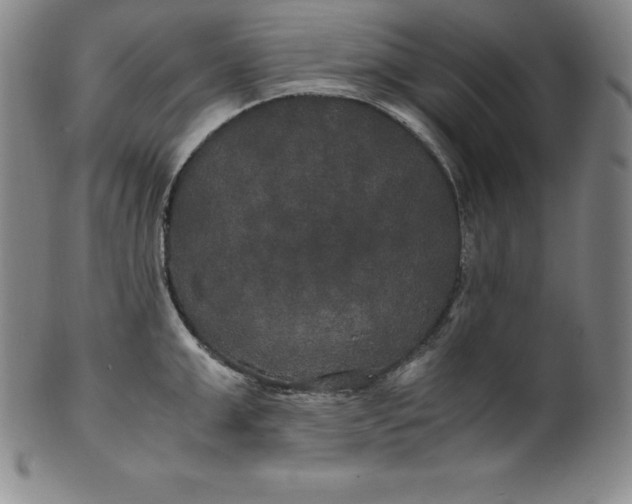 X0000100490999200806271232