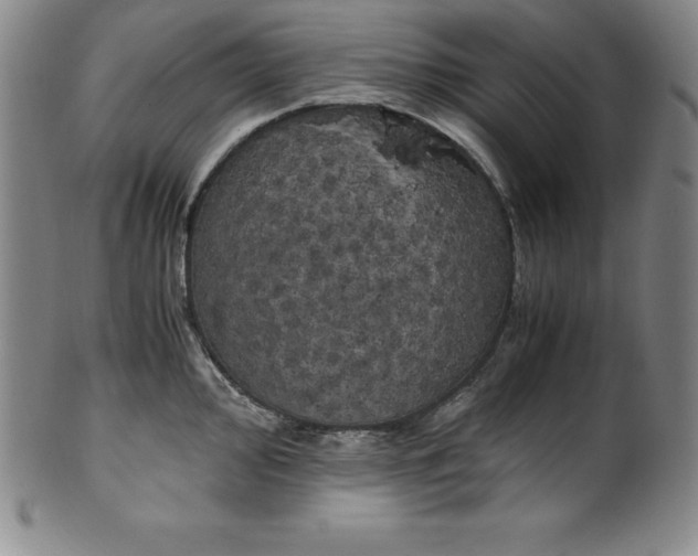 X0000100491000200806271232