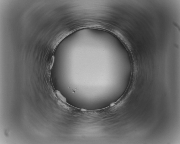 X0000100491001200806271232