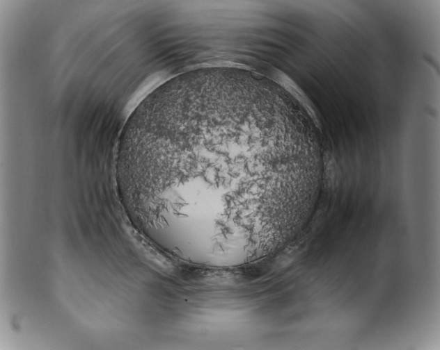 X0000100491002200806271232