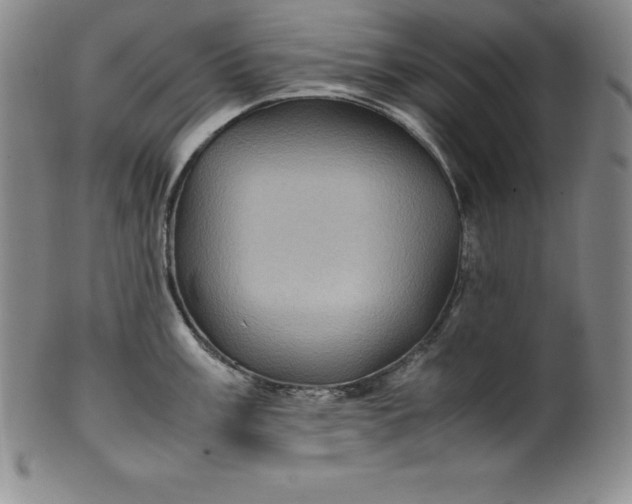 X0000100491003200806271232