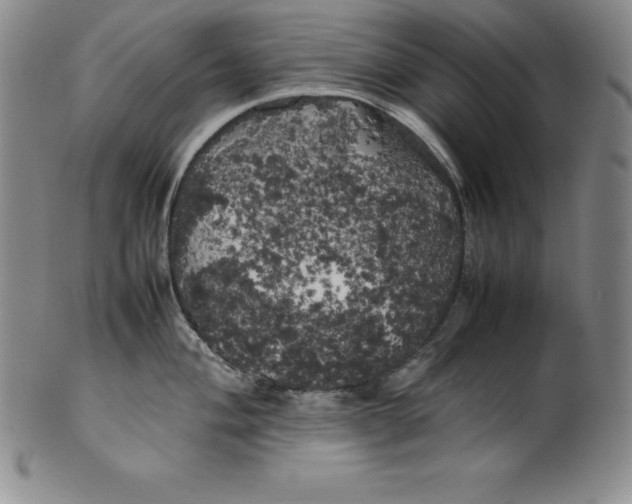 X0000100491004200806271232