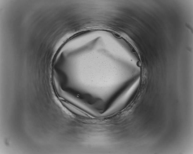 X0000100491005200806271232