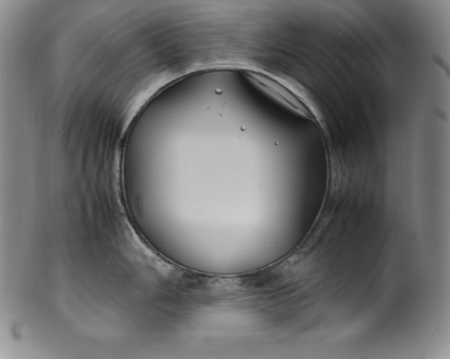 X0000100491006200806271232