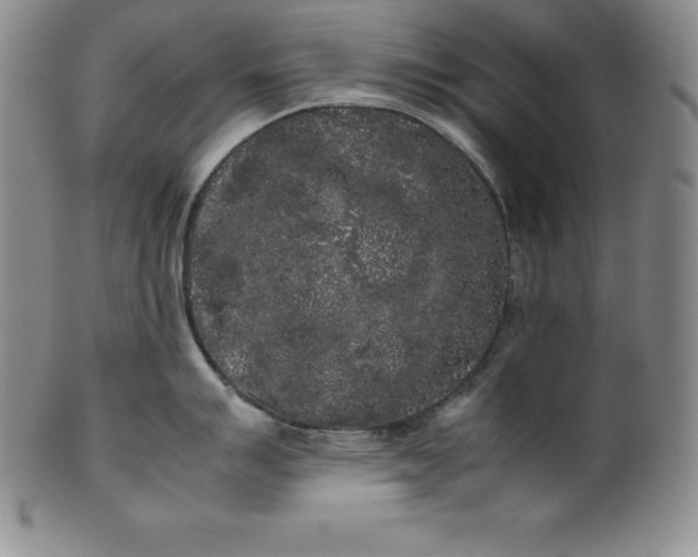 X0000100491007200806271232