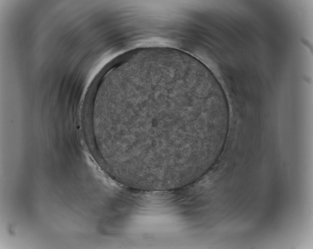 X0000100491008200806271232