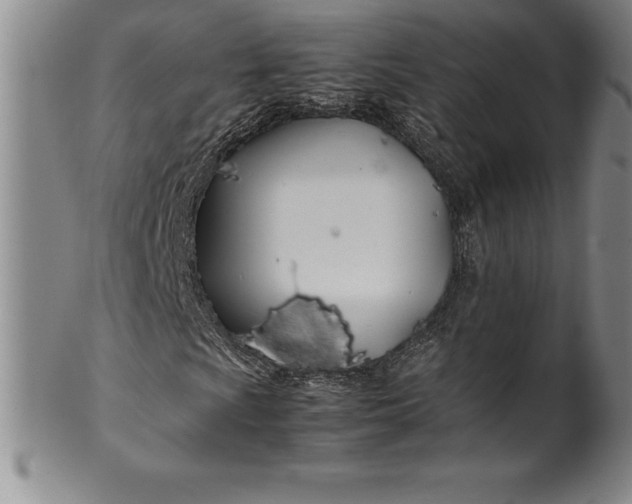 X0000100491009200806271231